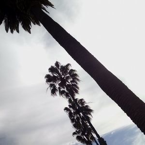 Meet your Posher, Maia